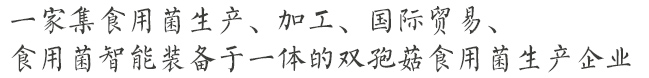 公司簡介